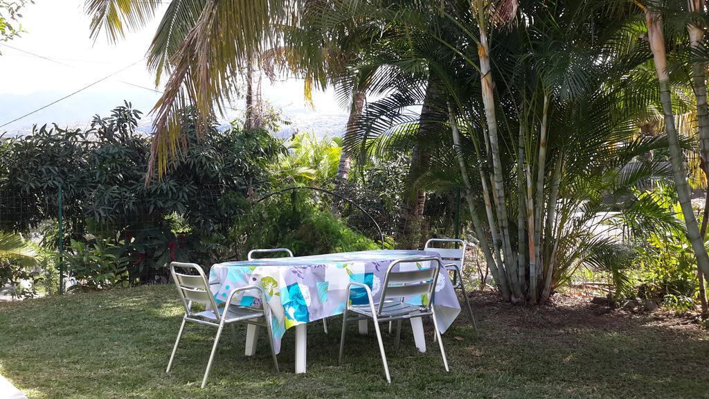 La Villa Des Palmes Bois d'Olive Ngoại thất bức ảnh